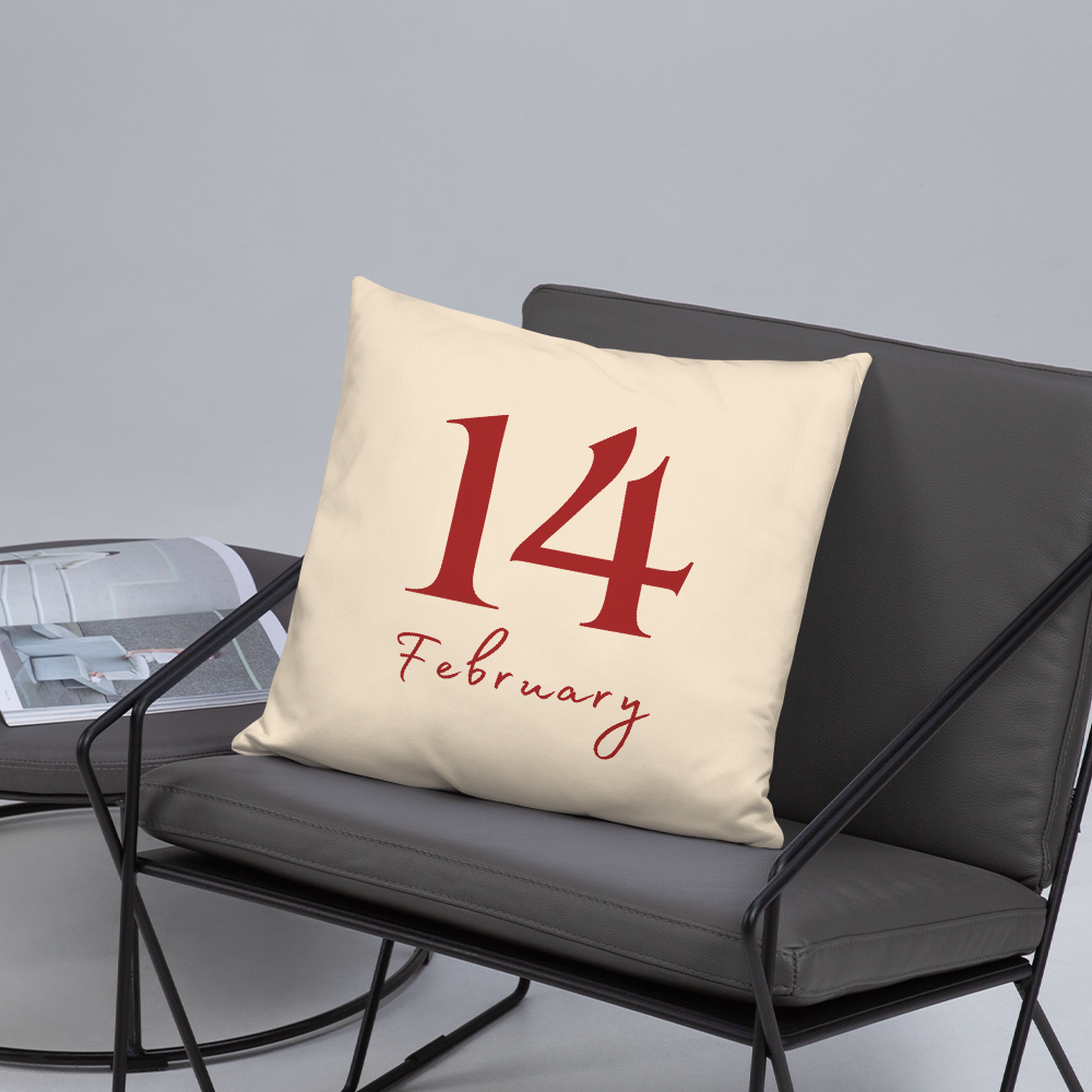 Feb 14th Throw Pillow for Valentines.