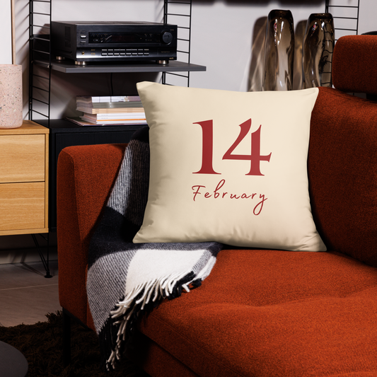 Feb 14th Throw Pillow for Valentines.